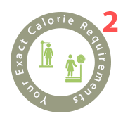 premier diet plan delivery your exact calories